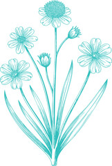 Vintage Teal White Wood-sorrel Wildflowers Illustration Graphic. A Rustic Nature-themed Design for a Cottagecore Vibe
