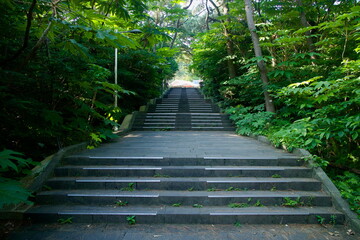Shaded Steps to the Coast