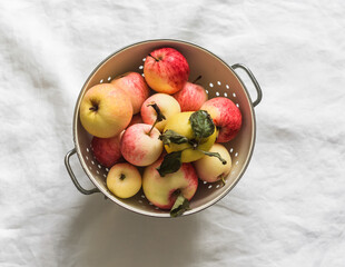 Fresh organic garden seasonal apples in a colander on a light background, top view