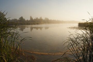mgła,poranek,jezioro, zalew, woda, zbiornik wodny, kąpielisko © Marcin Łazarczyk