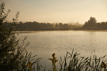 mgła,poranek,jezioro, zalew, woda, zbiornik wodny, kąpielisko © Marcin Łazarczyk