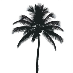 Isolated tropical coconut tree silhouette against a summer sky