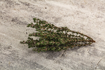 Fresh green Thyme branch isolated
