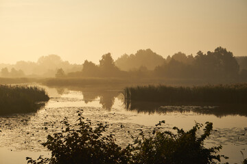 mgła,poranek,jezioro, zalew, woda, zbiornik wodny, kąpielisko © Marcin Łazarczyk