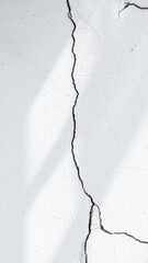 Obraz premium Cracked White Concrete Wall with Rough Texture and Detailed Line Patterns