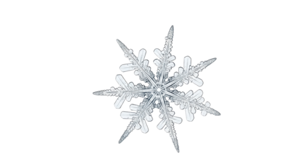 Detailed macro of a beautiful snowflake isolated PNG with Transparent Background