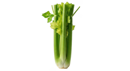 Fresh Celery Stalks On Black Background