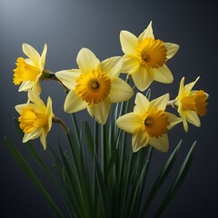 Five Yellow Daffodils in a Dark Background Spring Flowers, Nature Photography, Floral Still Life