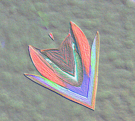 abstract floral background, chalk effect