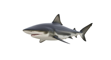 Obraz premium Detailed Great White Shark 3D Render Swimming Isolated on Clean White Background