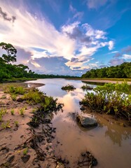 Peaceful riverbank at sunset