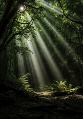 Fototapeta premium Magical Sunbeams Piercing Through Lush Forest Canopy onto a Mossy Path