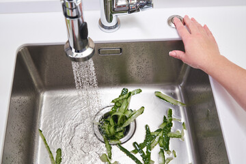 Food waste disposer machine in sink in modern kitchen