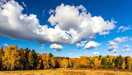 Autumn landscape with vibrant colors