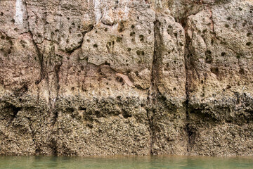 Eroded limestone cliff with fossils and algae near waterline reflecting geological history and natural patterns.