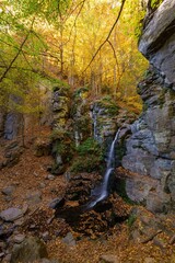Scenic autumn waterfall flowing through rocky canyon surrounded by vibrant yellow and orange forest in the fall season. Peaceful nature scene full of color and texture.