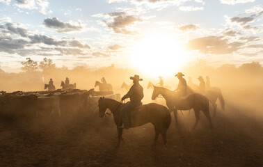 Herding cattle on horse back in the late afternoon dust and sunshine