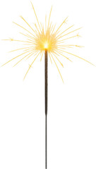 Obraz premium Sparkler transparent background