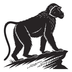Fototapeta premium Baboon Silhouette Standing on a Rock.