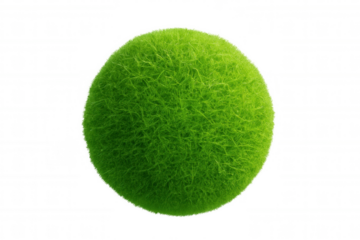 Green grass sphere is rotating on a transparent background, perfect for ecology, nature, and environment concepts