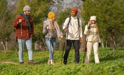 Multiethnic group of four happy hikers are enjoying their nordic walking adventure on a sunny day