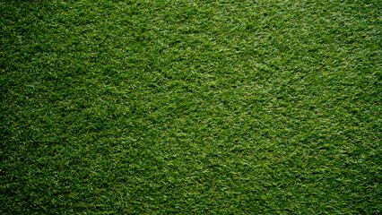 Green grass background, top view background of garden bright grass concept used for making green...
