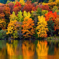 Autumn forest reflected in calm lake