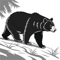 Black Bear Walking in the Wild, Monochrome Illustration.