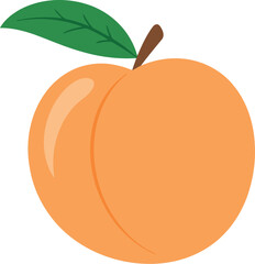 Juicy peach fruit with leaf healthy food organic produce fresh ingredient vector hand drawn