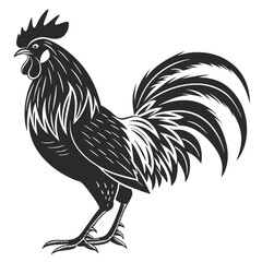 Stylized Black and White Rooster Illustration.