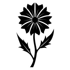 black and white flower