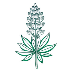 vector illustration of a flower