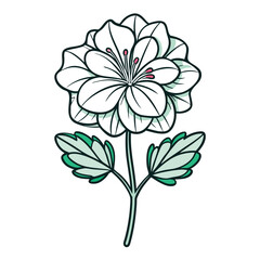 vector illustration of perennial geranium a flower