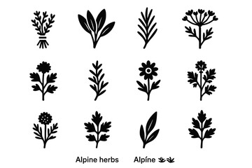 Thyme leaf icon bundle vector icons lovage wild valerian herb alpine plant