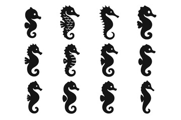 Tail dancing marine compact texture scale seahorse collection icon thin vector icons