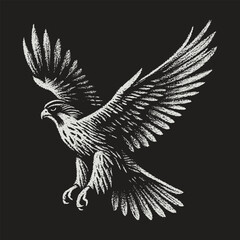 Flying Eagle Bird Illustration