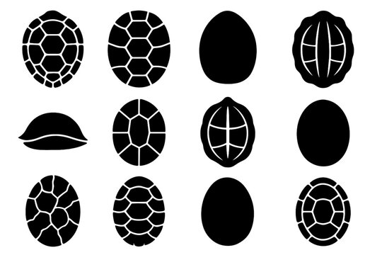 Pattern vector icons scute side outline turtle detailed central icon view shell
