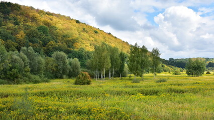 landcape along bikeway Eurovelo4 near town Krakow in Poland