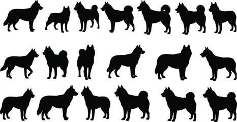 Silhouette collection of multiple dog breeds standing in different poses, vector illustration for pet design, animal artwork, and decoration