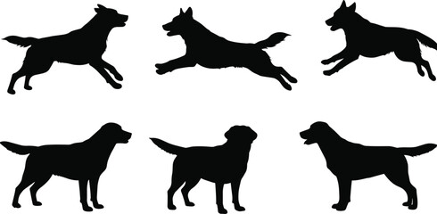 Set of dog silhouettes in different poses, running, jumping, standing pets, vector illustration for design, decoration, animal graphic elements
