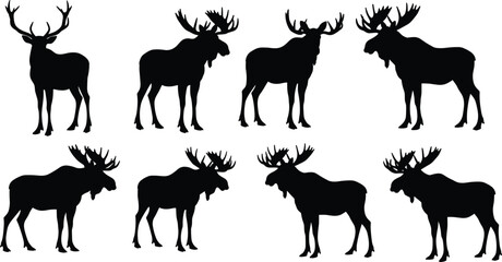Moose and elk silhouettes collection, wild animal vector set with antlers, standing and walking poses, forest wildlife clipart illustration design