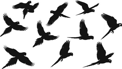 Flying parrot silhouette vector collection, exotic bird in flight, tropical wildlife art, black parrot design, editable bird graphic set