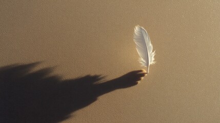White feather with a dark shadow on a neutral background