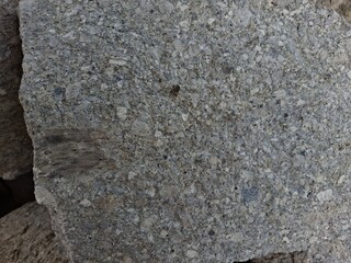 A close-up shot of a gray, coarse-grained igneous rock with visible mineral crystals and a dark inclusion.