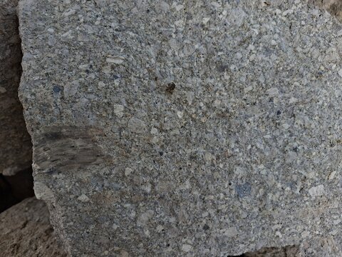 A close-up shot of a gray, coarse-grained igneous rock with visible mineral crystals and a dark inclusion.