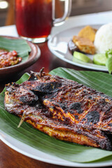 grilled seafood. grilled fish. grilled squid.