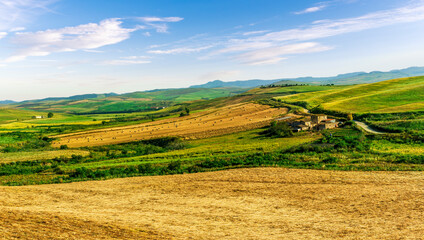Obraz premium panoramic landscape of a summer season lowland with golden hay hills and green grass on foreground and beautiful sunset sky on background