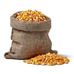 Burlap sack full of yellow corn kernels (1)