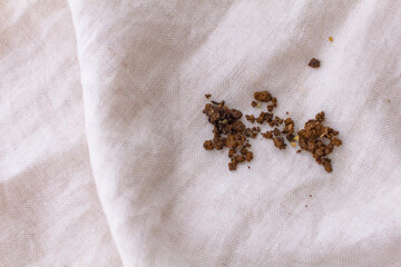 リネンの服に付いた土の汚れの写真