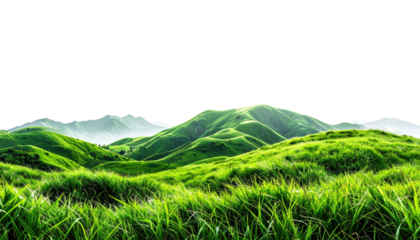 Lush green hills roll gently to a distant mountain range